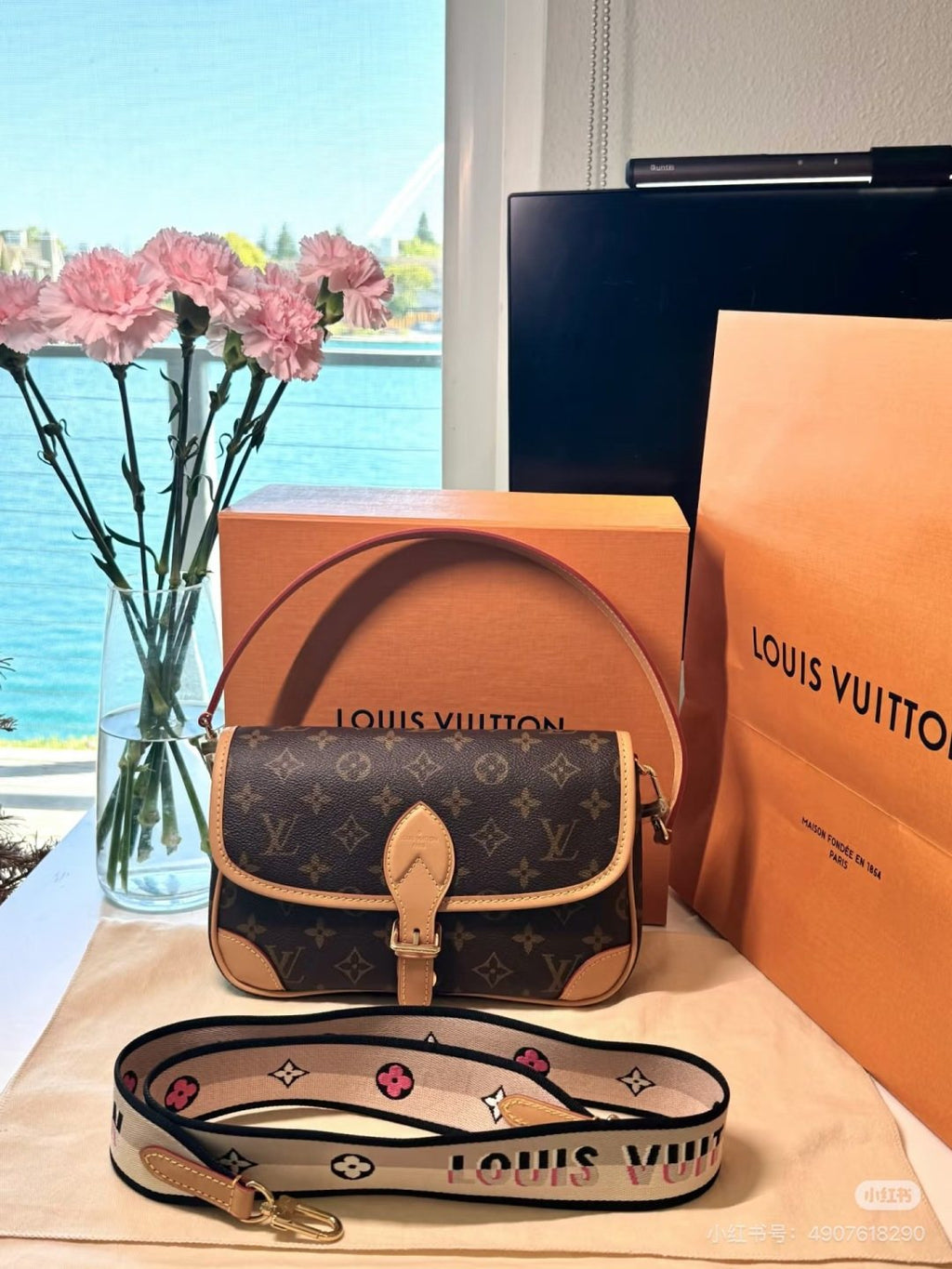 Louis Vuitton Diane Monogram Shoulder Bag — front