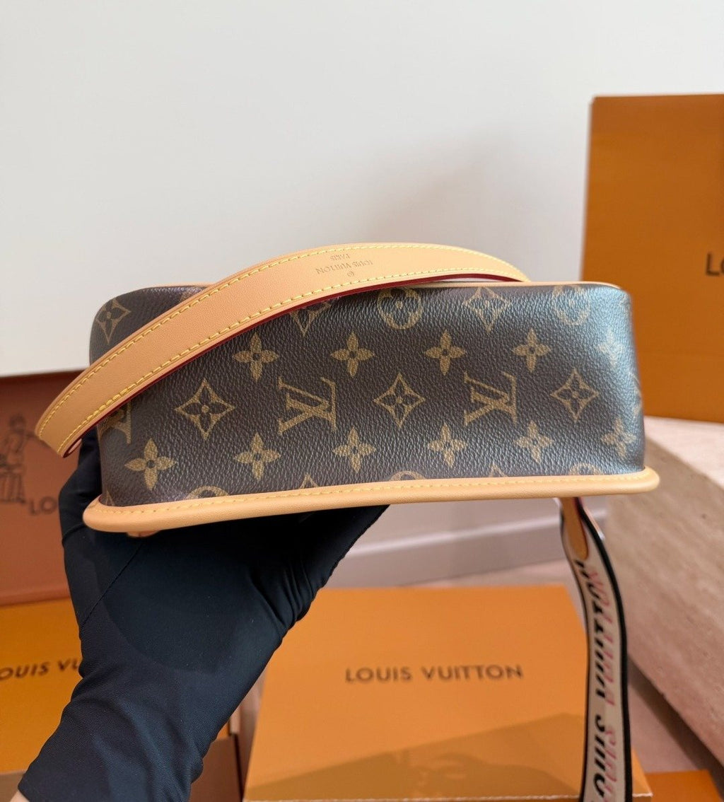 Louis Vuitton Diane Monogram Shoulder Bag — detail