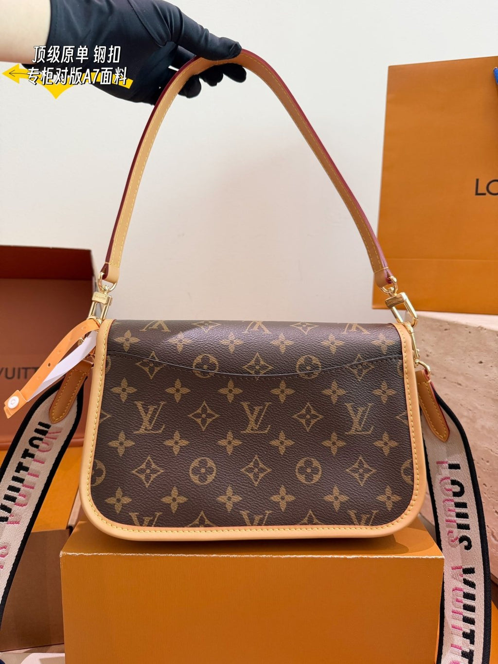 Louis Vuitton Diane Monogram Shoulder Bag — back