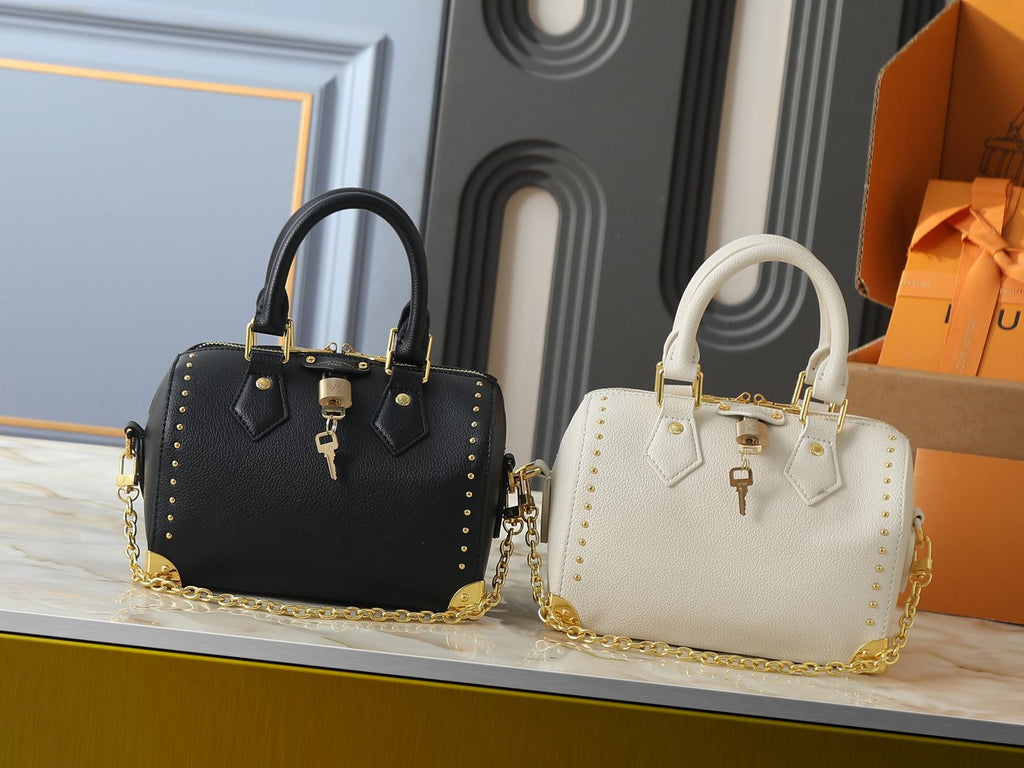 Louis Vuitton Speedy Trunk Handbag — comparison