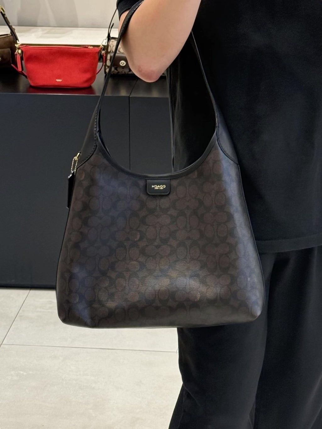 Coach Brooklyn Hobo Shoulder Bag — model