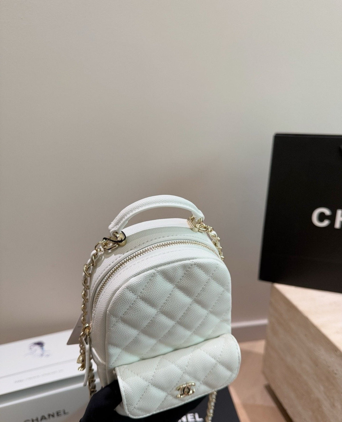 Chanel Quilted Top-Handle Backpack — model