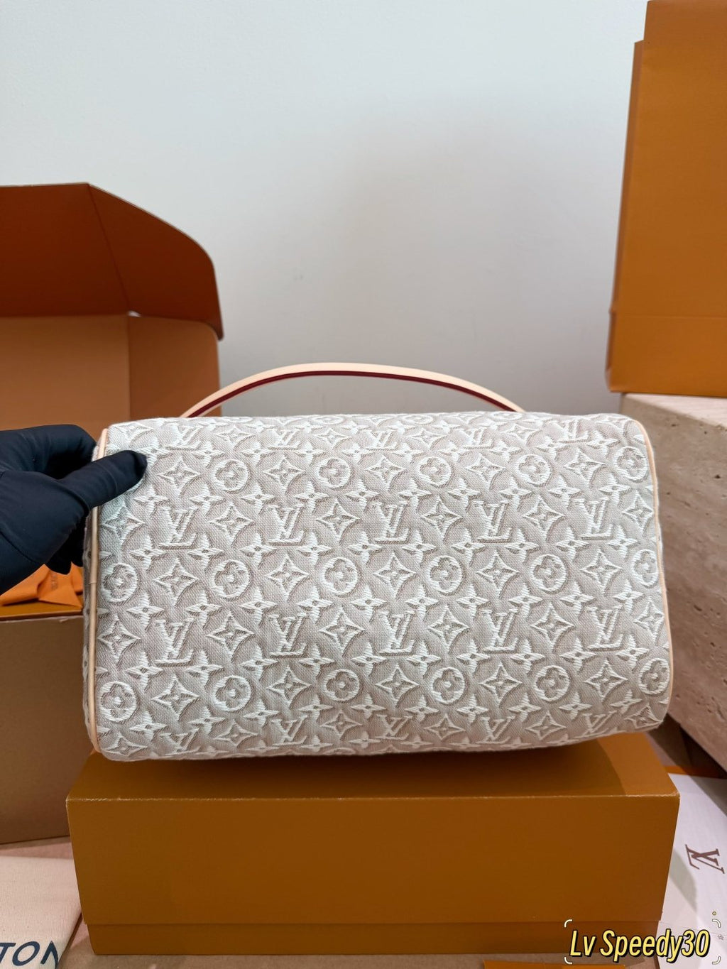 Louis Vuitton Speedy Monogram Handbag with Braided Handles — front