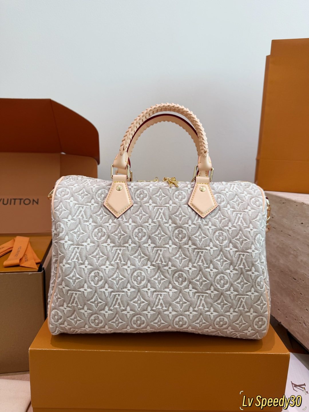 Louis Vuitton Speedy Monogram Handbag with Braided Handles — back