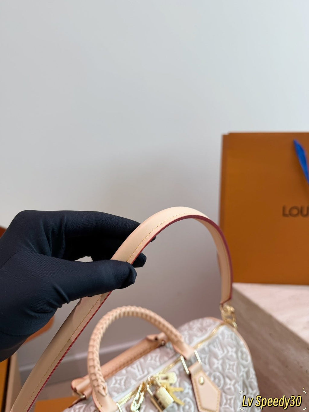 Louis Vuitton Speedy Monogram Handbag with Braided Handles — detail