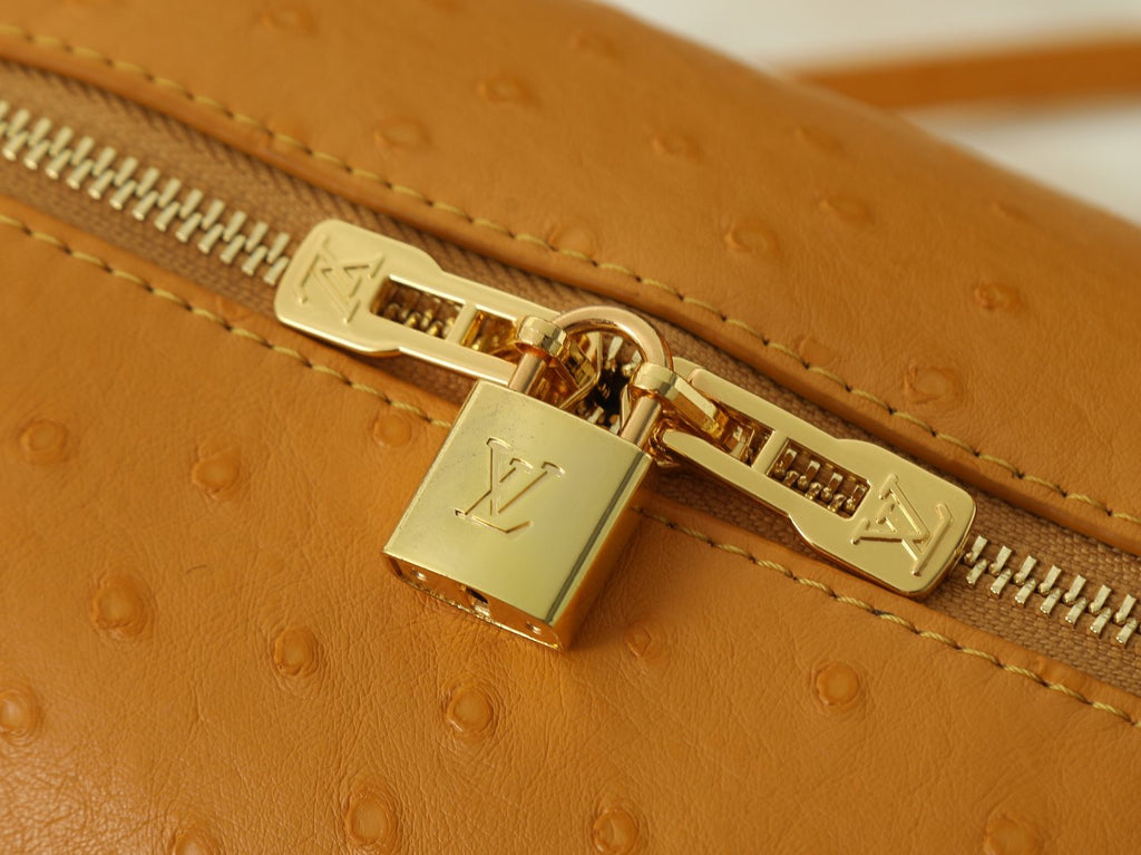 Louis Vuitton Express Dotted-Texture Shoulder Bag — detail