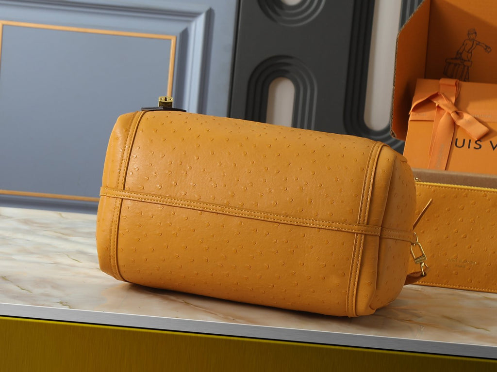 Louis Vuitton Express Dotted-Texture Shoulder Bag — back