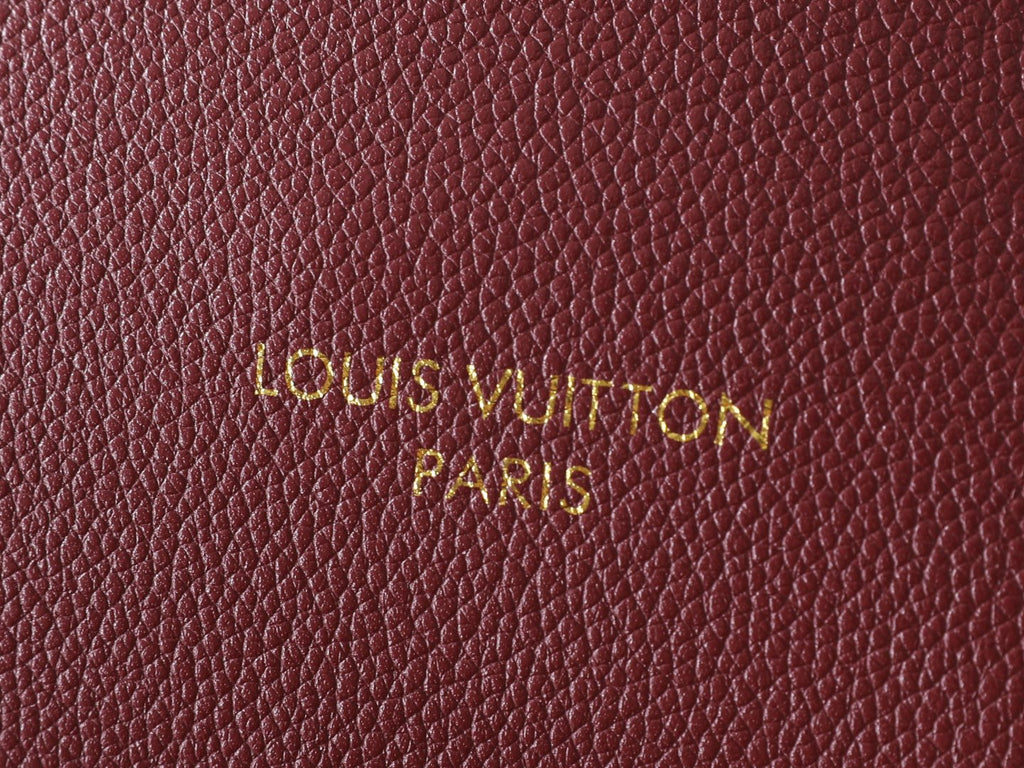 Louis Vuitton Multipass Chain Shoulder Bag — detail