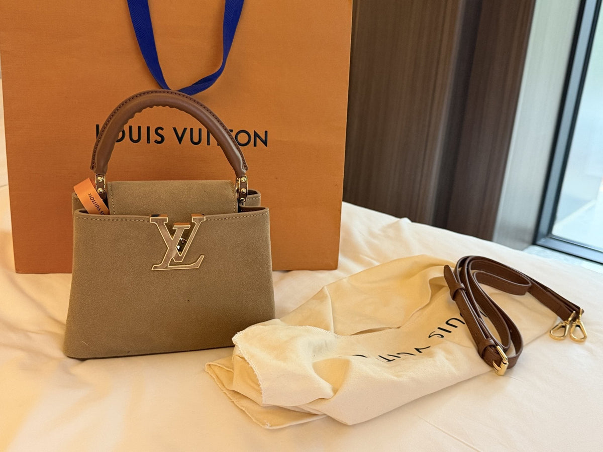 Louis Vuitton Capucines Suede-Textured Top-Handle Bag — hero
