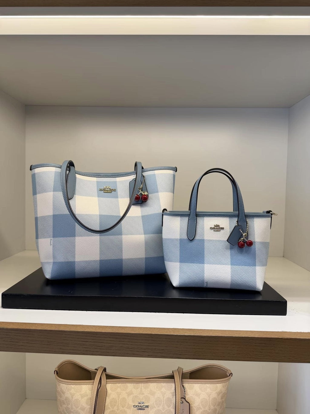 Coach City15 Check Tote with Cherry Charm — comparison