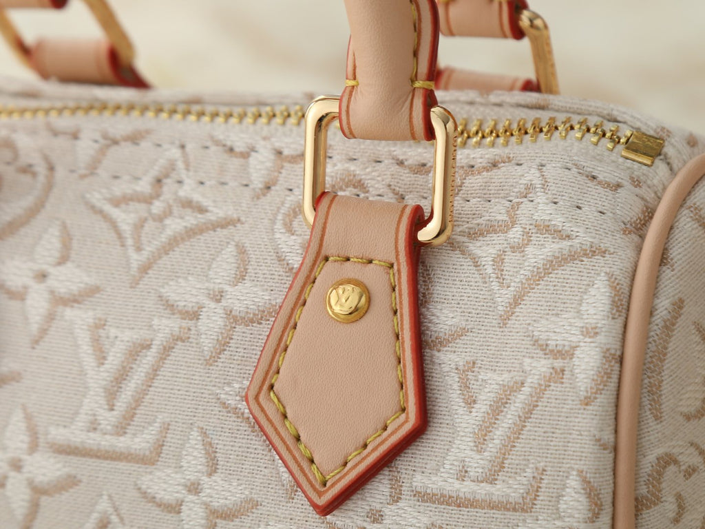 Louis Vuitton Nano Speedy Jacquard Top-Handle Bag — detail