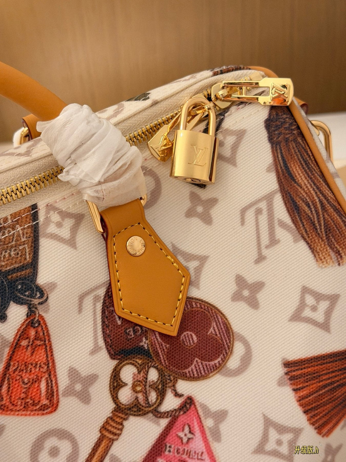 Louis Vuitton Speedy Flight Mode Printed Satchel — detail
