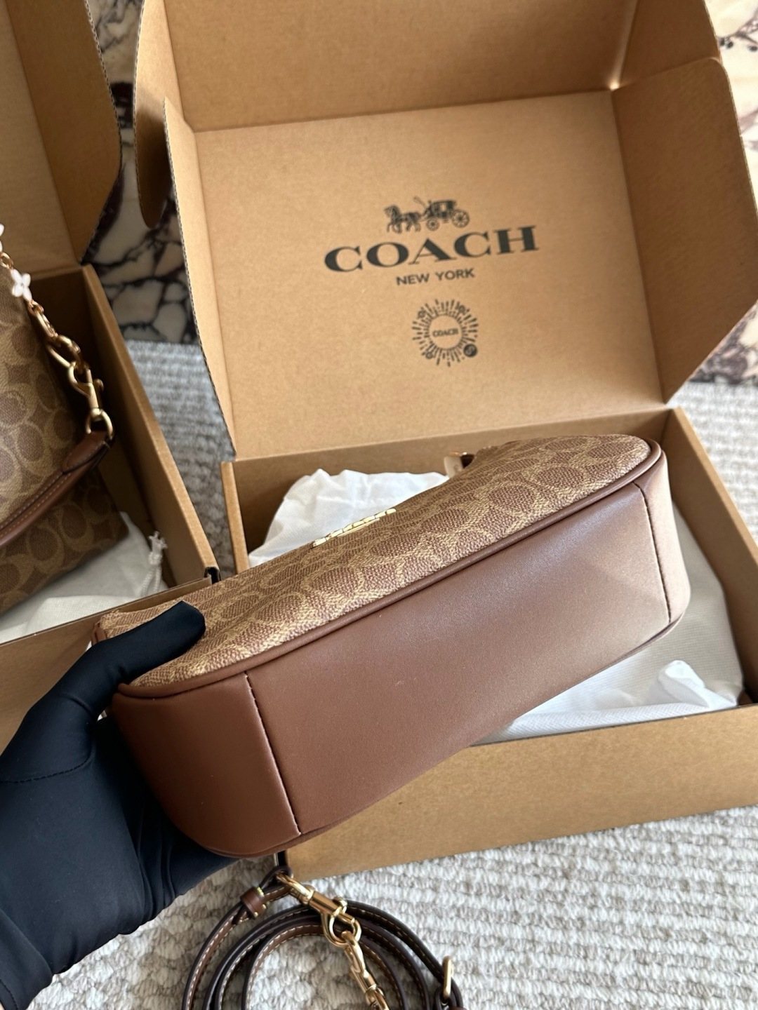 Coach Teri Monogram Shoulder Bag — detail