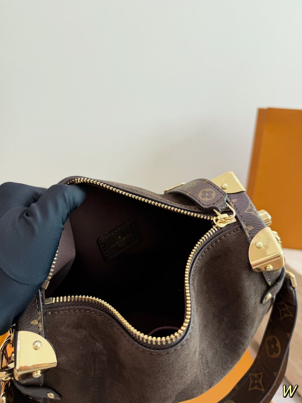 Louis Vuitton Trunk Top-Handle Bag with Monogram Trim — front