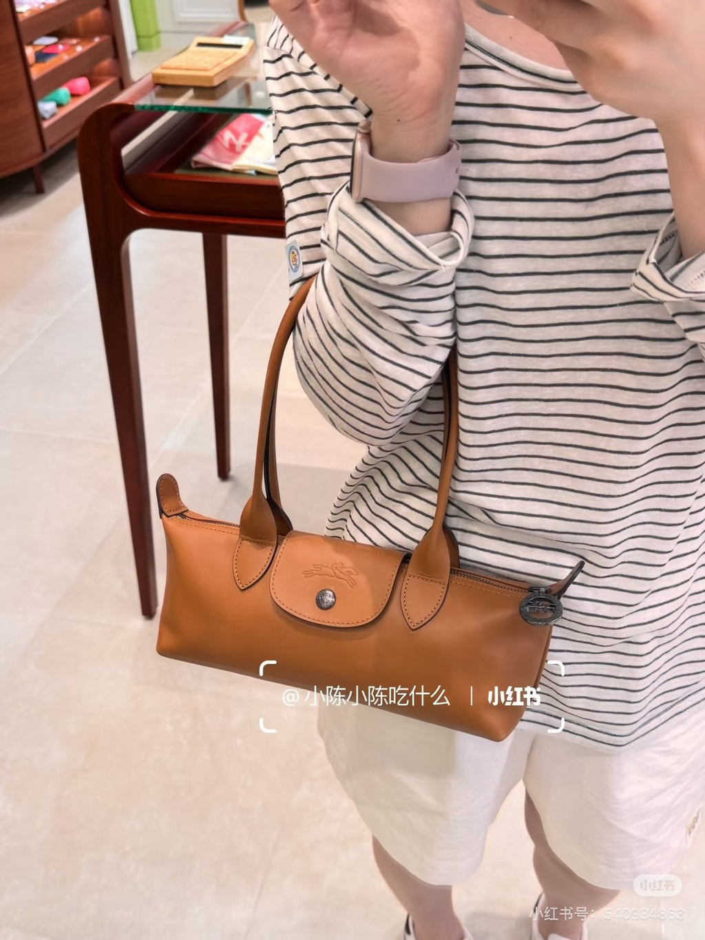 Longchamp Le Pliage Xtra Baguette Bag — model