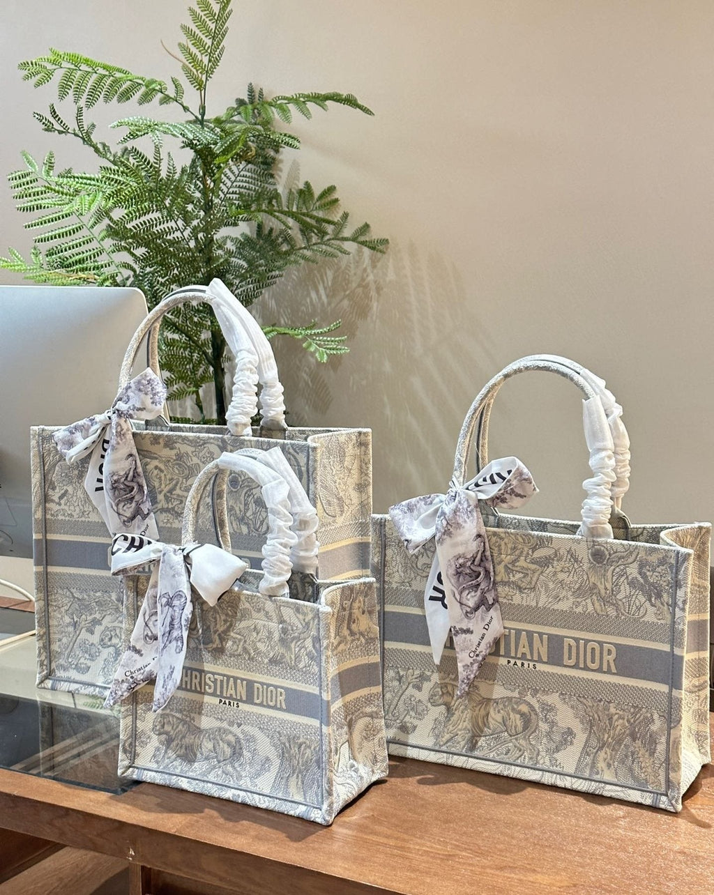 Dior Book Tote with Patterned Panels — comparison