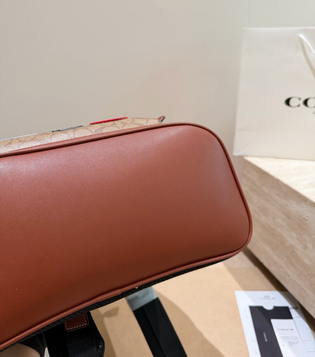 Coach Monogram Character Artwork Backpack — detail